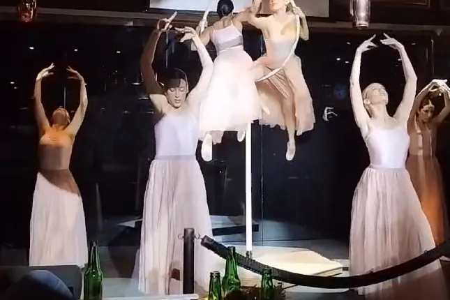 Aerial Hoop and Dance Duo — event entertainment